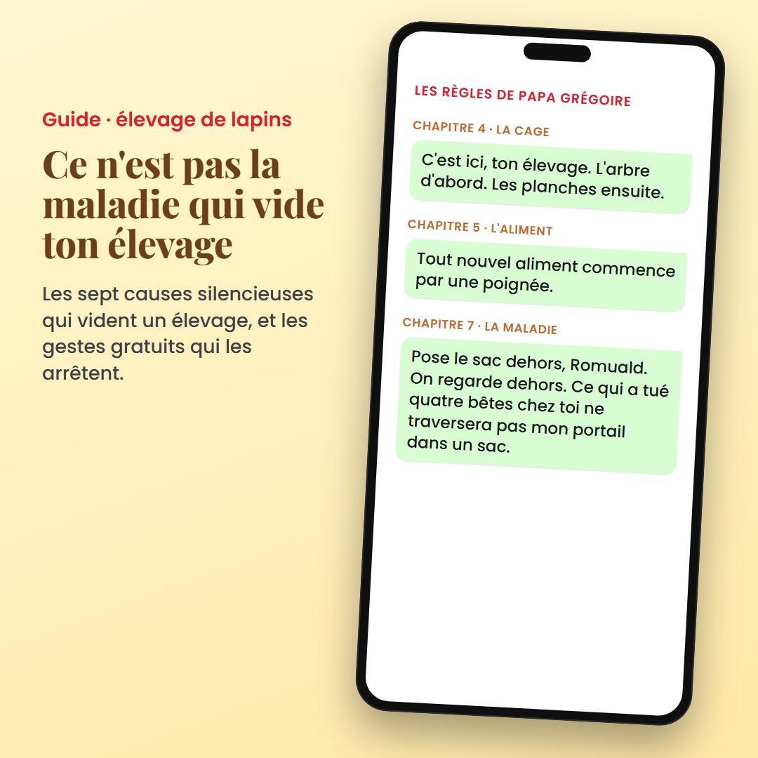 Des lapins qui ne meurent pas, image 3