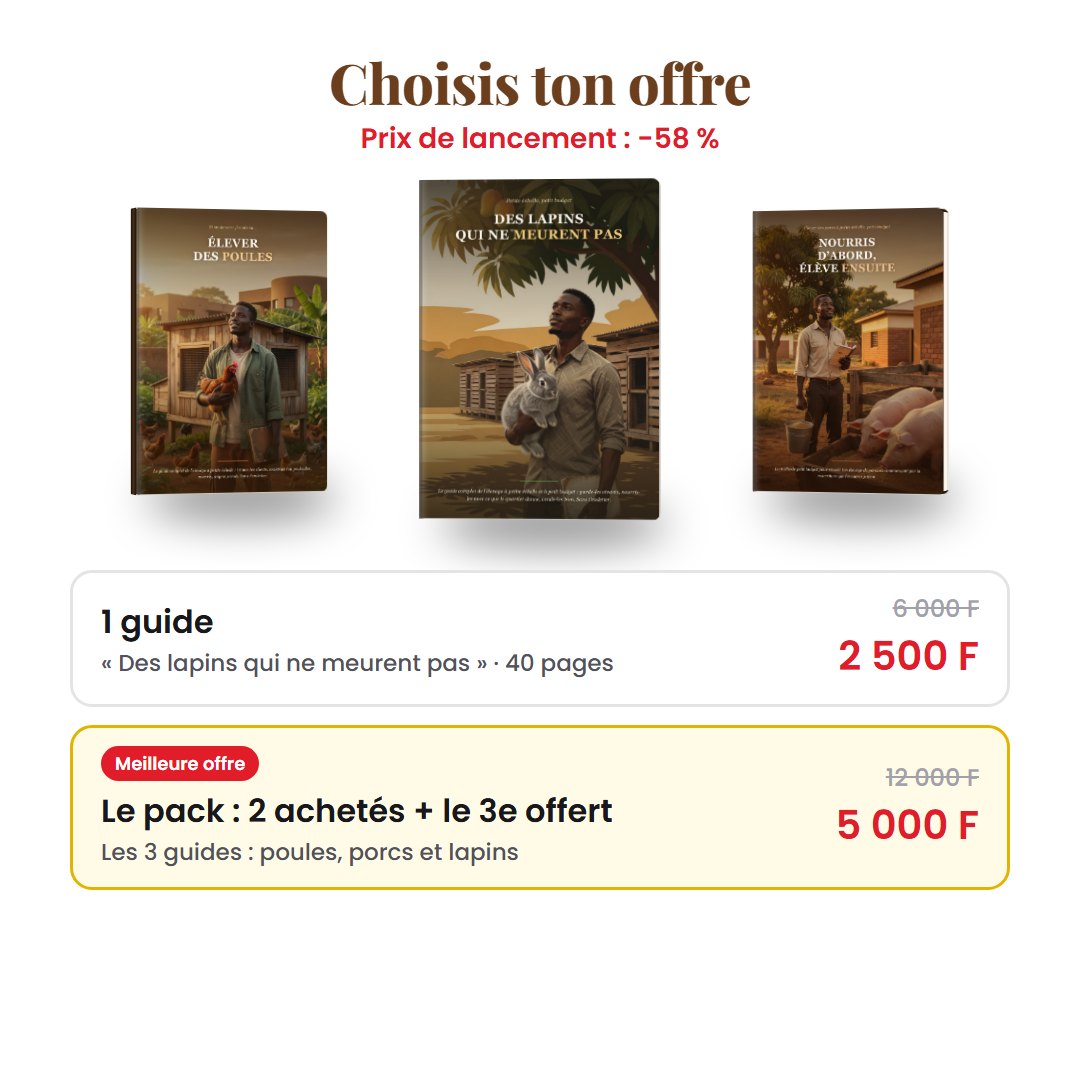 Des lapins qui ne meurent pas, image 2