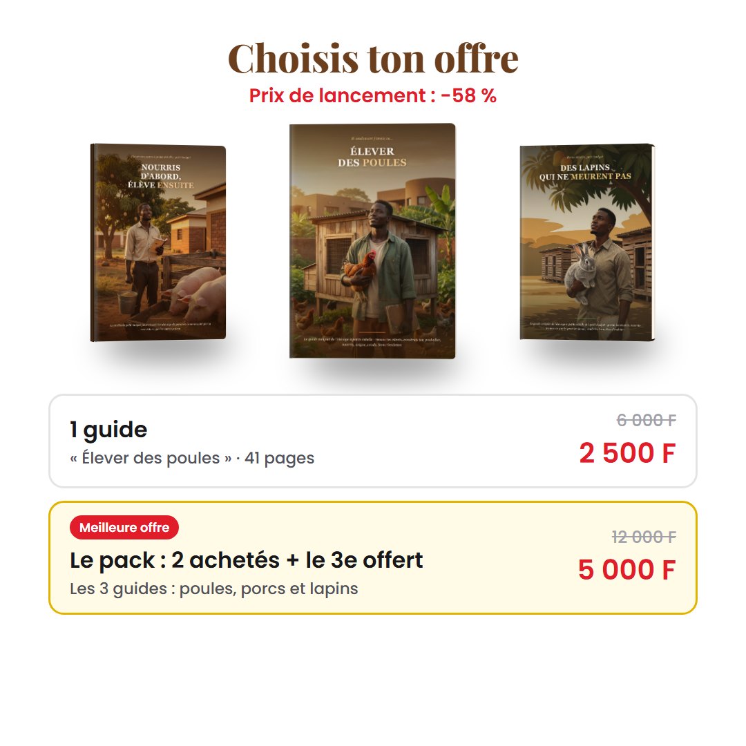 Élever des poules, image 2